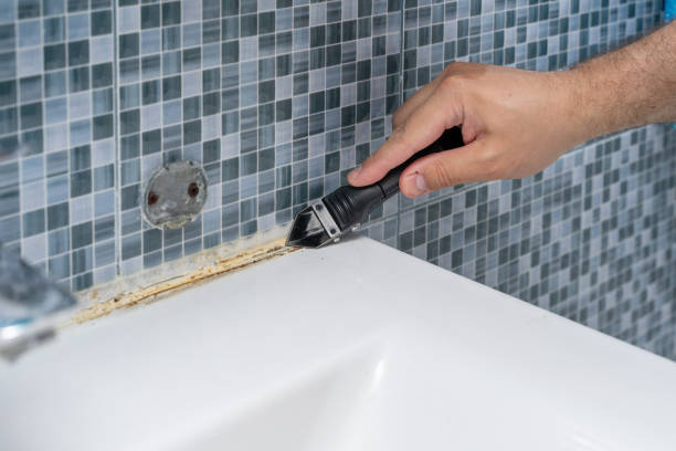 Best Kitchen Mold Remediation in Waite Park, MN